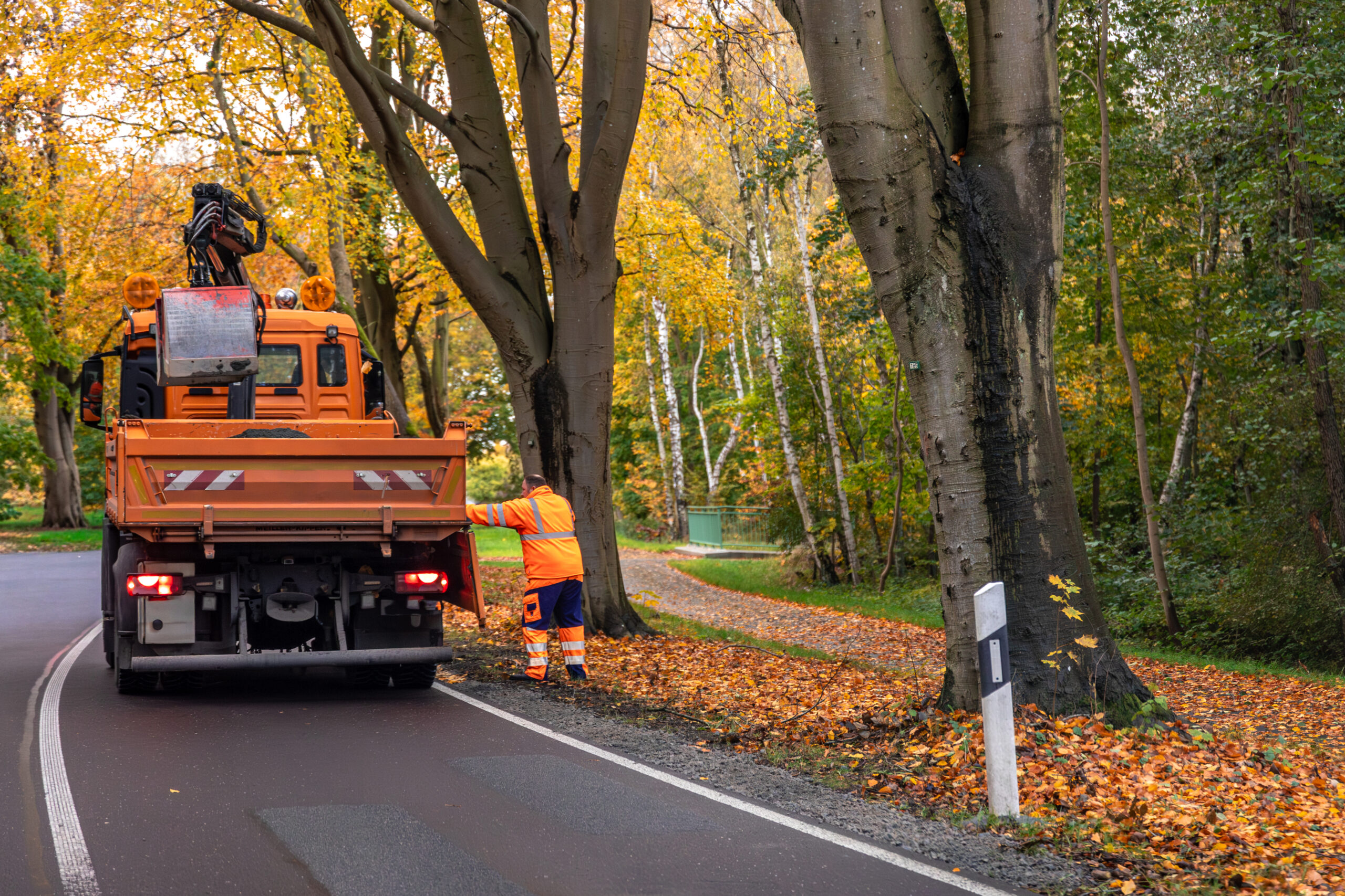 Orange service truck and a worker in high visibility clothing clear fallen leaves along a forest road, highlighting safety and infrastructure upkeep.